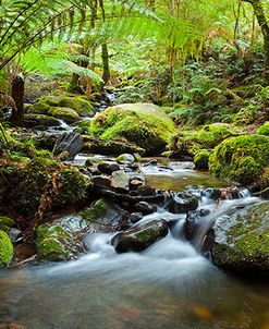 Cement Creek