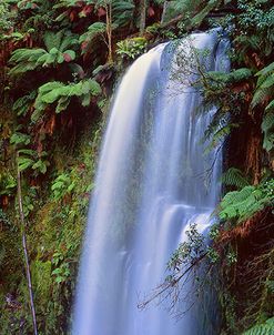 Beauchamp Falls Vert II