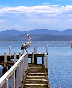 Mallacoota