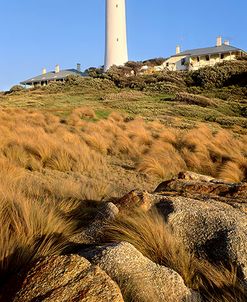 Point Hicks Vert