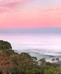 Mt Sturgeon Fog