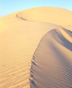 Mungo Dune Vert