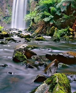 Hopetoun Falls Vert