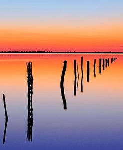 Vanishing Fence Line