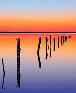 Vanishing Fence Line