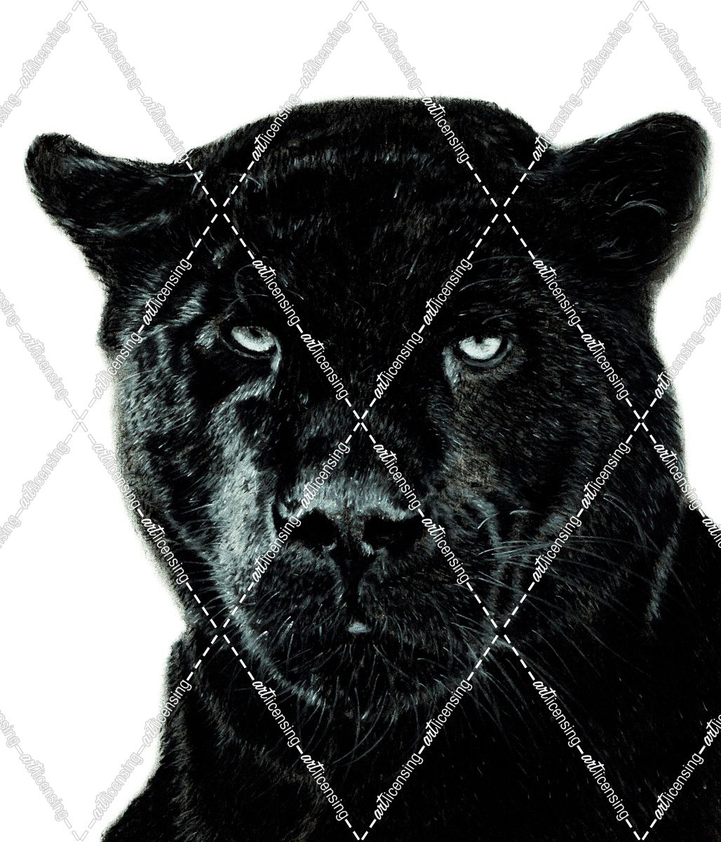 Black Panther 1