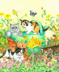 Garden Kittens