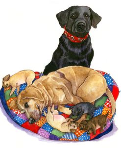 Lab Dogs