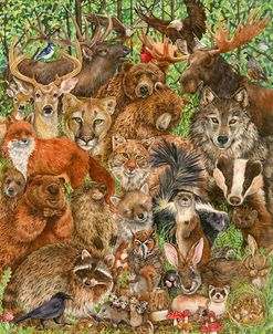 Woodland Mammals