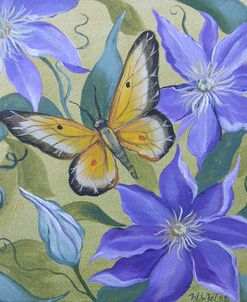 Large Butterfly and Clematis