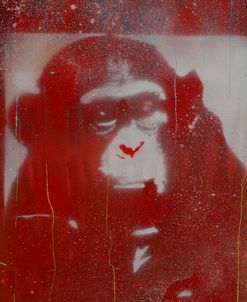 pgz-stc-006-monkey-punches-bansky