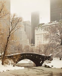 Central Park Bridge