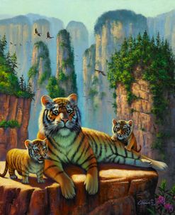 Zang Tigers