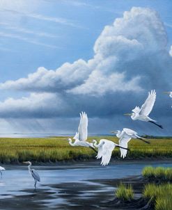 Summer Storm Egrets