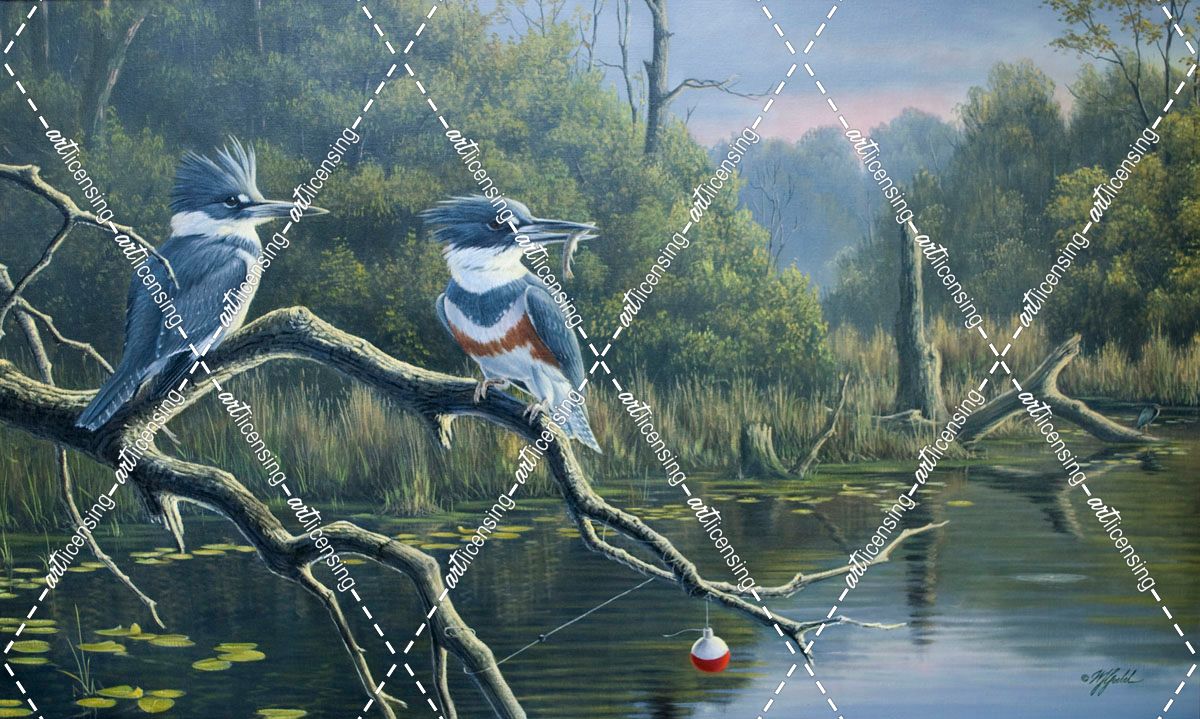 Fisherman’s Luck, Belted Kingfishers