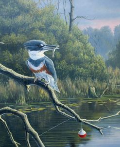 Fisherman’s Luck, Belted Kingfishers