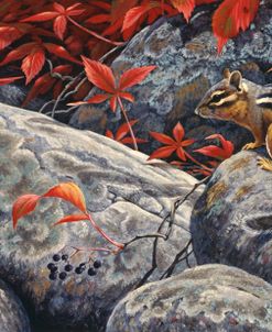 Autumn Playground – Eastern Chipmunk