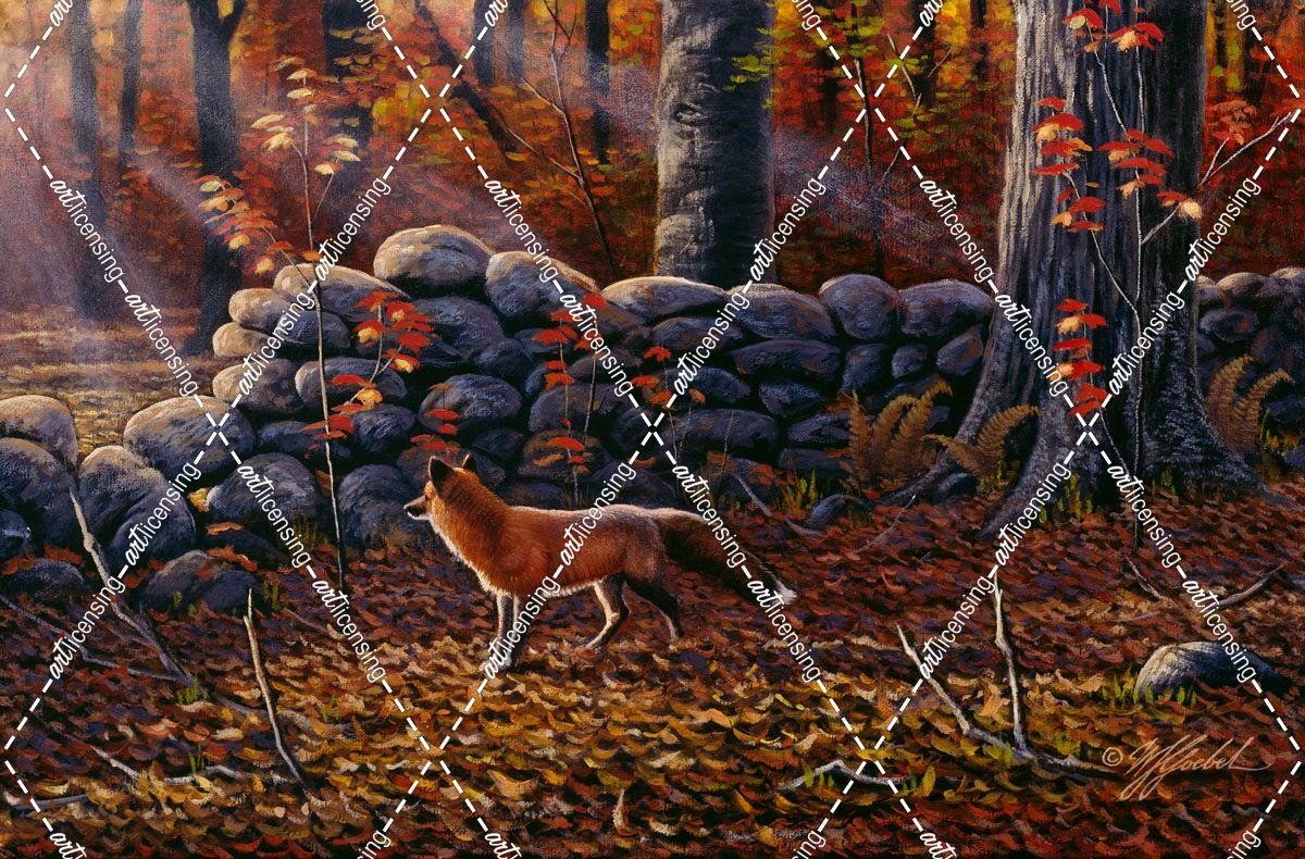 Autumn Reds – Red Fox