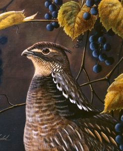 Grouse & Grapes