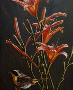 Yellowthroat & Daylilies