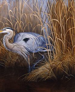 Set In Gold – Great Blue Heron