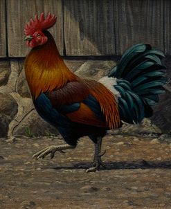 Barnyard Strut – Bantam Rooster