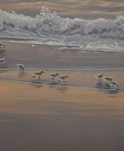 Morning Surf And Sanderlings