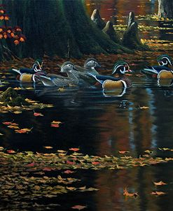 Cypress Jewels – Wood Ducks