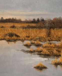 Muskrat Marsh