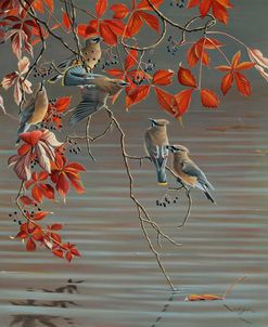 Autumn Harvest – Cedar Waxwing