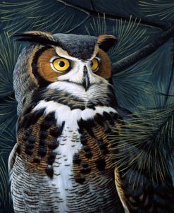 Portrait In The Pines – Great Horned Owl