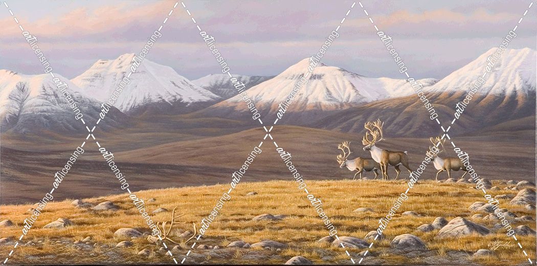 Time Passages Mountain Caribou