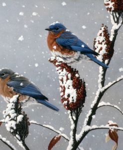 Winter Trio