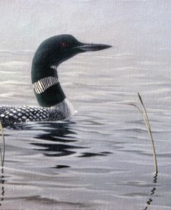 Emerging Loon