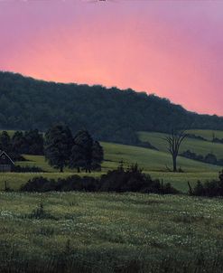 Hillside At Dusk