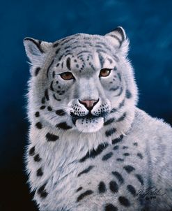 Young Snow Leopard