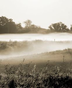 Fog in the Hills