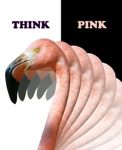Think Pink Flamingo