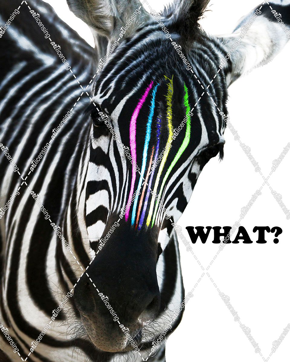 Zebra Colors