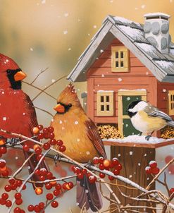 Winter Birds Buffet