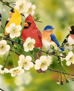 Songbirds On a Flowering Branch