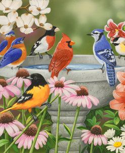 Garden Birdbath