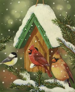 Snowy Birdhouse