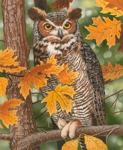 Autumn Owl