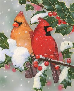 Cardinal Couple With Holly