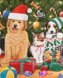 Puppies & Kittens Christmas