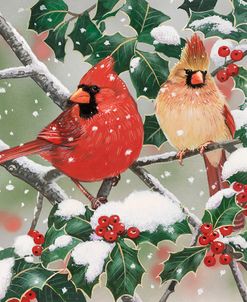 Snowy Perch – Cardinals
