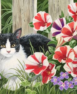 Minnie In the Petunias