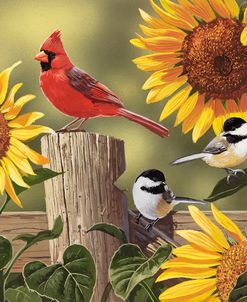 Sunflowers and Songbirds