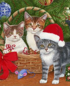 Christmas Kittens in a Basket